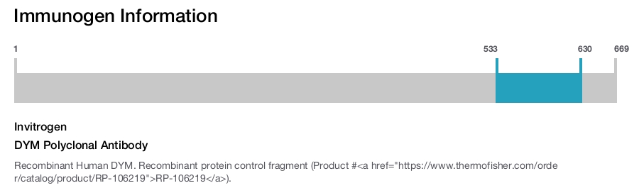 DYM Polyclonal Antibody