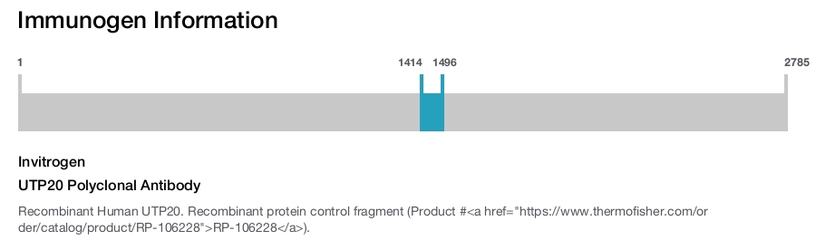UTP20 Polyclonal Antibody