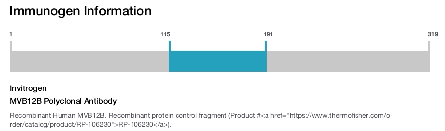 MVB12B Polyclonal Antibody