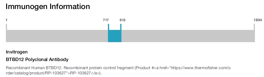 BTBD12 Polyclonal Antibody