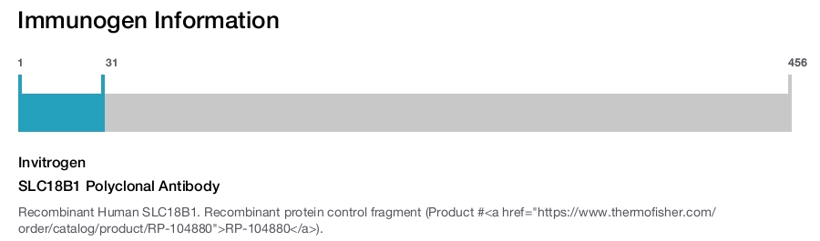 SLC18B1 Polyclonal Antibody