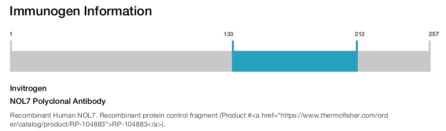 NOL7 Polyclonal Antibody