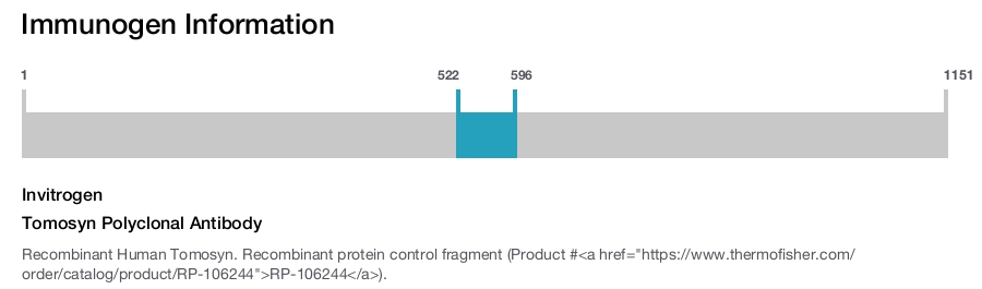 Tomosyn Polyclonal Antibody
