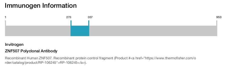 ZNF507 Polyclonal Antibody
