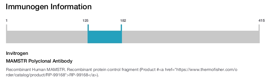 MAMSTR Polyclonal Antibody