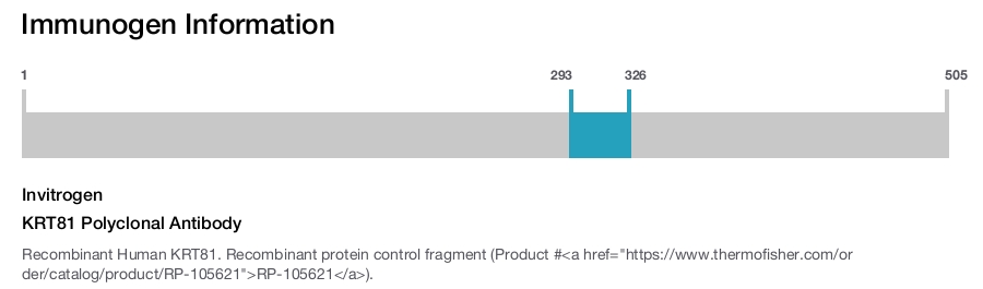 KRT81 Polyclonal Antibody