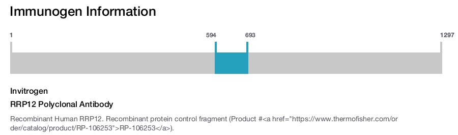 RRP12 Polyclonal Antibody