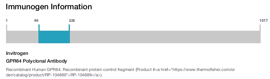 GPR64 Polyclonal Antibody