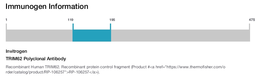 TRIM62 Polyclonal Antibody