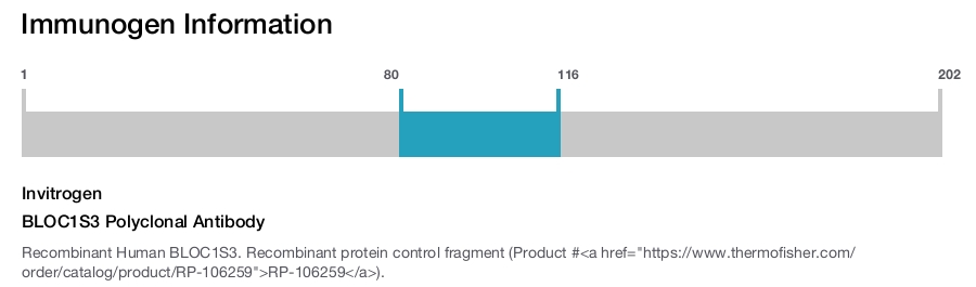 BLOC1S3 Polyclonal Antibody