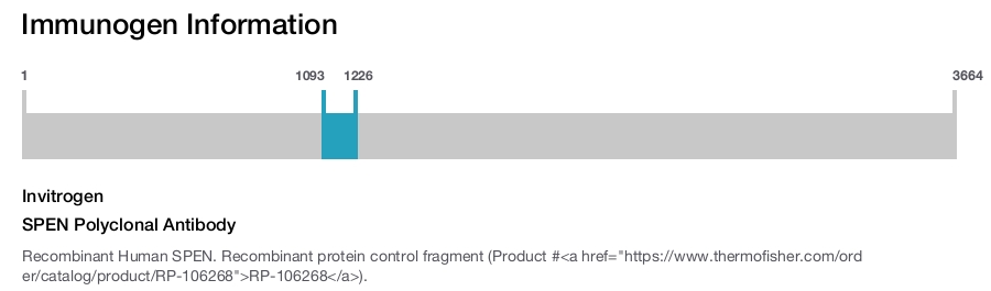 SPEN Polyclonal Antibody