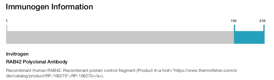 RAB42 Polyclonal Antibody