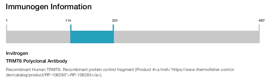 TRMT6 Polyclonal Antibody