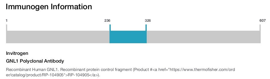 GNL1 Polyclonal Antibody