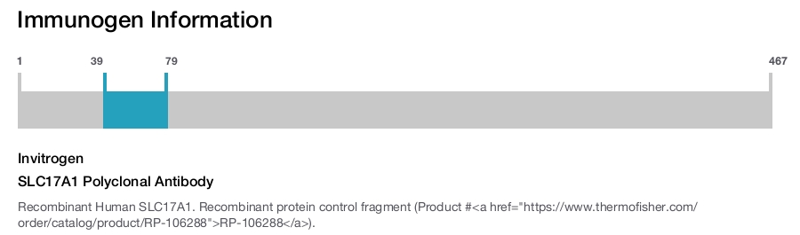 SLC17A1 Polyclonal Antibody