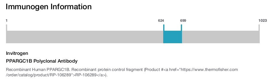 PPARGC1B Polyclonal Antibody