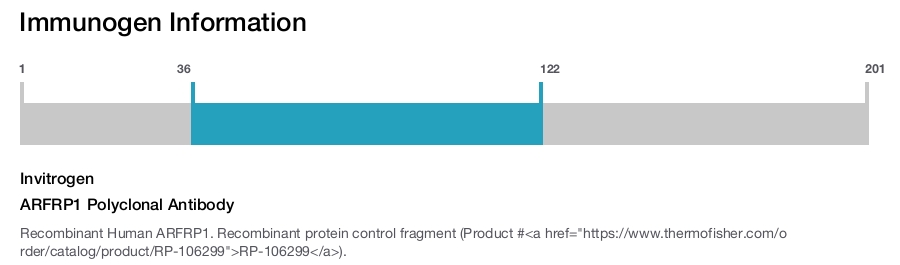 ARFRP1 Polyclonal Antibody