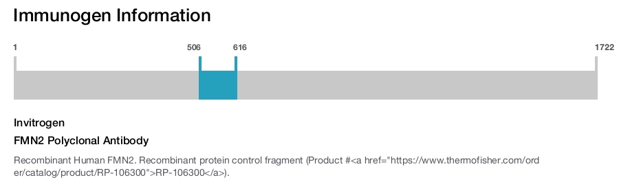 FMN2 Polyclonal Antibody