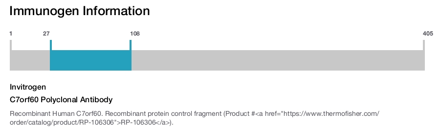 C7orf60 Polyclonal Antibody