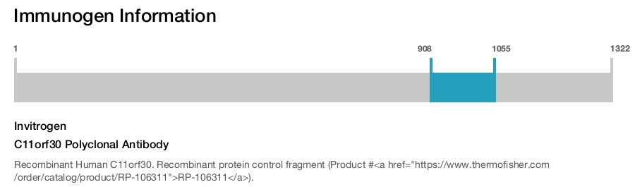 C11orf30 Polyclonal Antibody