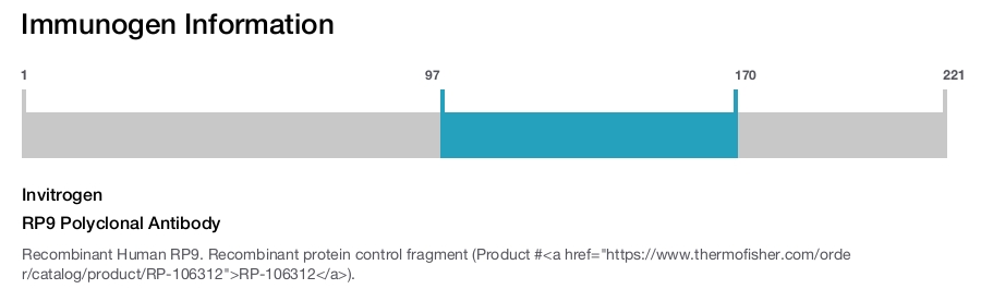 RP9 Polyclonal Antibody