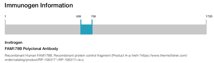 FAM179B Polyclonal Antibody