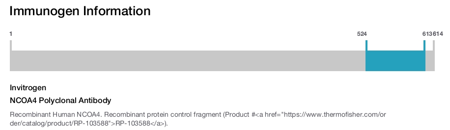 NCOA4 Polyclonal Antibody