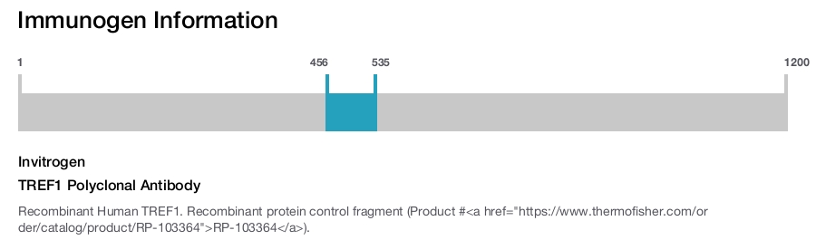 TREF1 Polyclonal Antibody