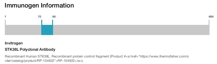 STK38L Polyclonal Antibody