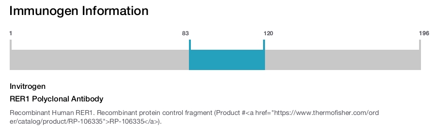 RER1 Polyclonal Antibody