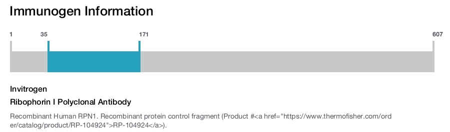 Ribophorin I Polyclonal Antibody