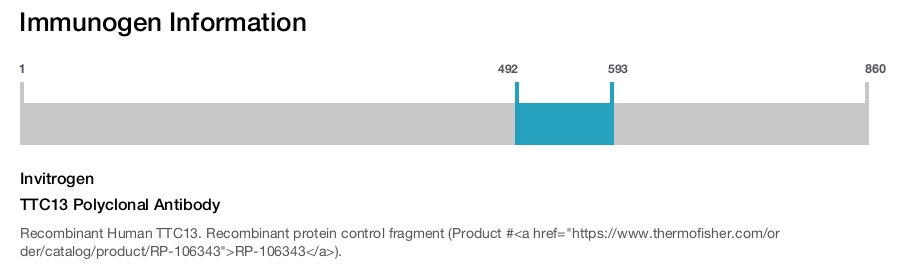 TTC13 Polyclonal Antibody