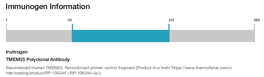 TMEM25 Polyclonal Antibody