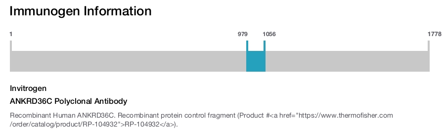 ANKRD36C Polyclonal Antibody