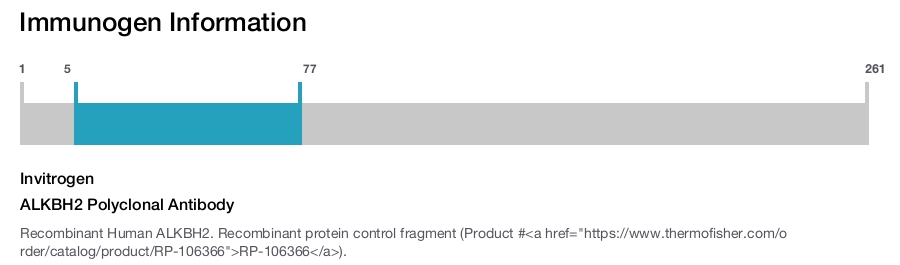 ALKBH2 Polyclonal Antibody