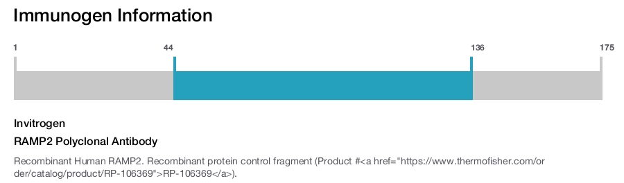 RAMP2 Polyclonal Antibody