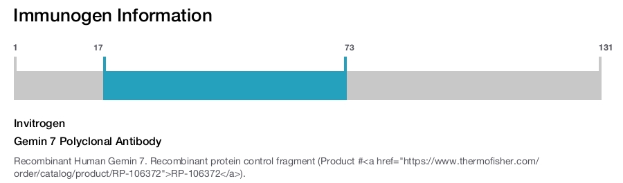 Gemin 7 Polyclonal Antibody