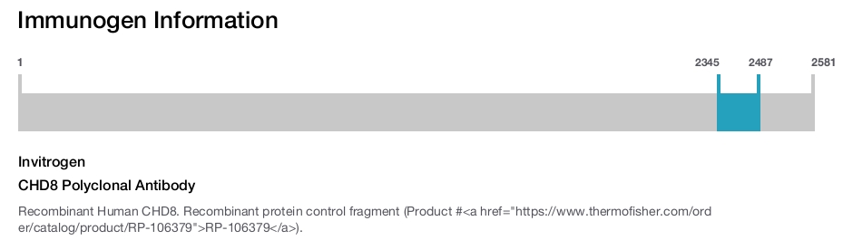CHD8 Polyclonal Antibody