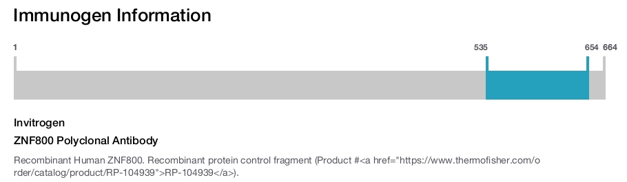 ZNF800 Polyclonal Antibody