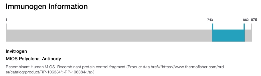 MIOS Polyclonal Antibody