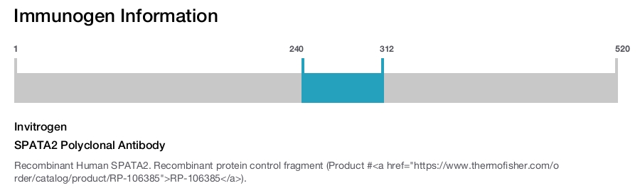 SPATA2 Polyclonal Antibody