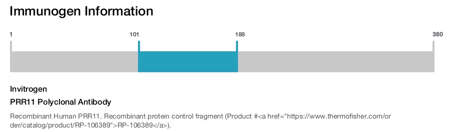 PRR11 Polyclonal Antibody
