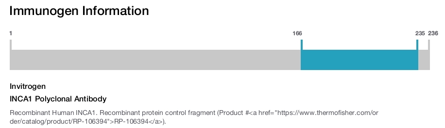 INCA1 Polyclonal Antibody