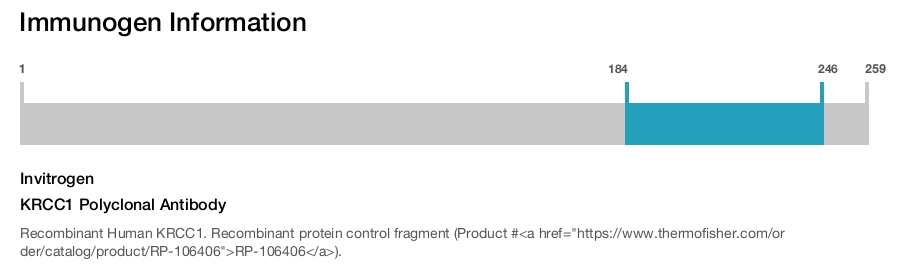 KRCC1 Polyclonal Antibody
