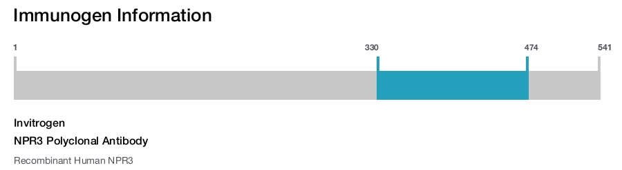 NPR3 Polyclonal Antibody