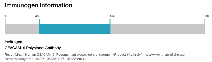 CEACAM19 Polyclonal Antibody
