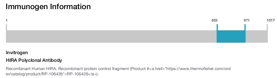 HIRA Polyclonal Antibody