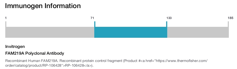 FAM219A Polyclonal Antibody