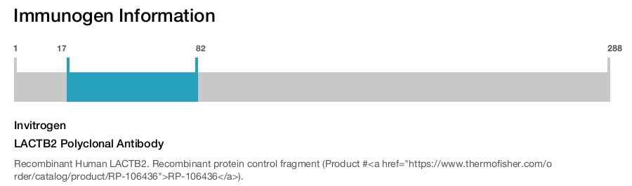 LACTB2 Polyclonal Antibody