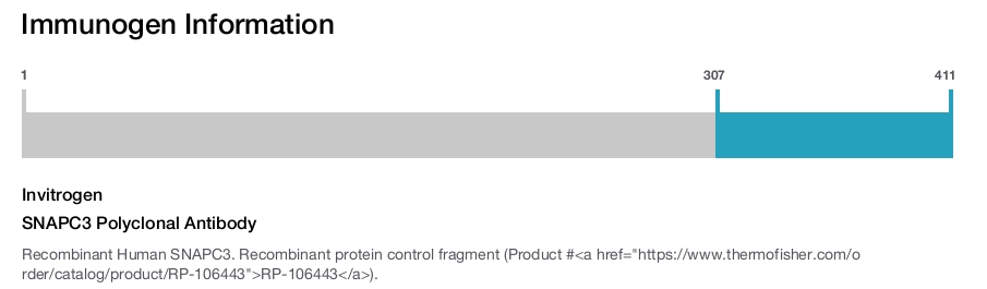 SNAPC3 Polyclonal Antibody